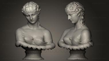 Busts and heads antique and historical (BUSTA_0235) 3D model for CNC machine